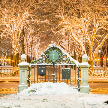 Boston Commons During the Holiday Season