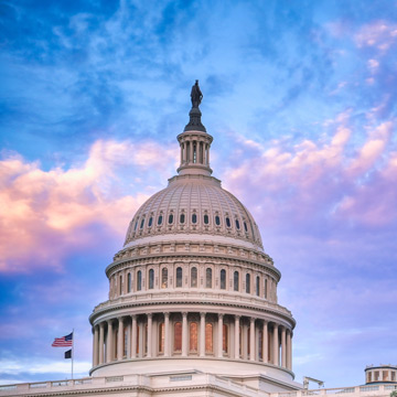 The U.S. Capitol