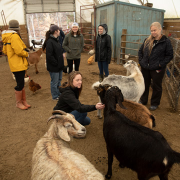 VLGS at VINE Sanctuary