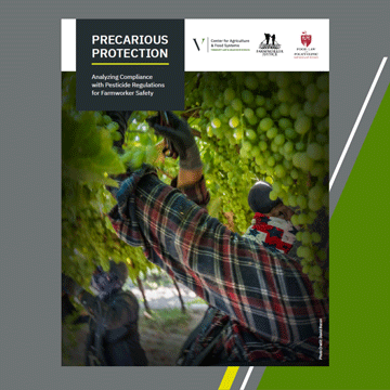 Precarious Protection Report Cover