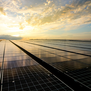 Solar Panels at Dusk